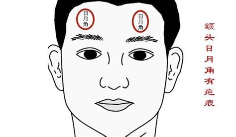 日角月角|面相解读——额头日月角 